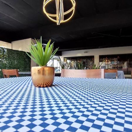 Hotel Andalucia Torreon Ngoại thất bức ảnh
